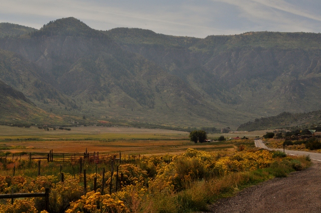 mountains and yelllow grass of the canyon